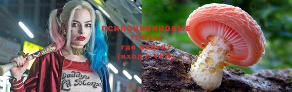 эйфоретик Зеленокумск