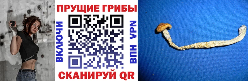 Галлюциногенные грибы мухоморы  Щёлково 