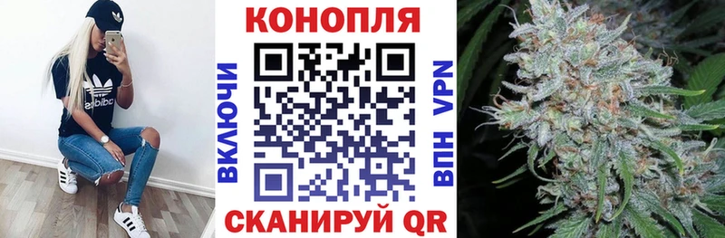 Канабис ГИДРОПОН  купить наркотики цена  omg ONION  Щёлково 
